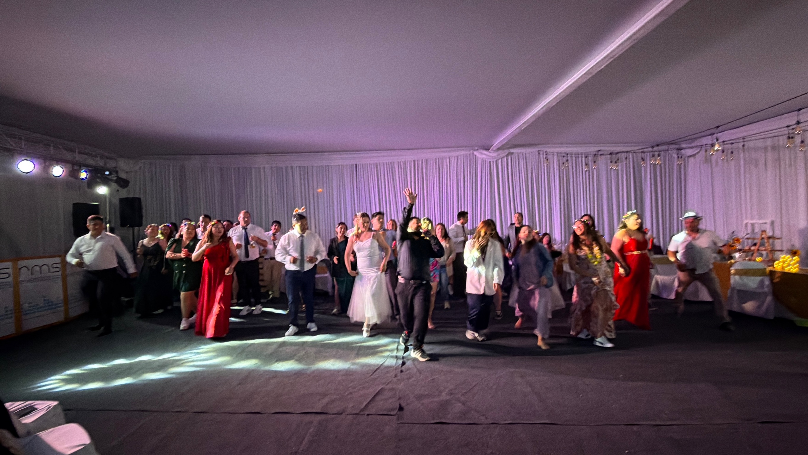 Baile Entretenido RMS 08